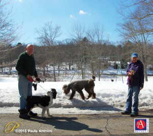 BA1_0644putnamparkdogwalkers