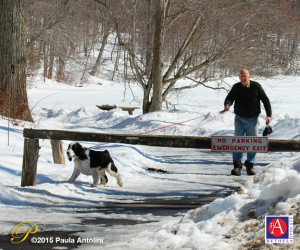 BA2_0642putnamparkmandog