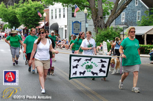 BA17_0004dogs4Hbanner