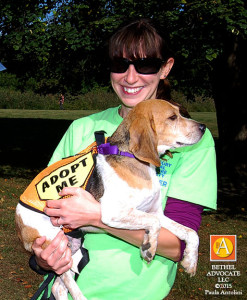 BA31_0084Dawsvolunterswitadoptabledog