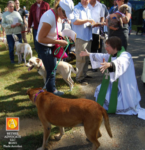 BA35_0218blessinganimals3