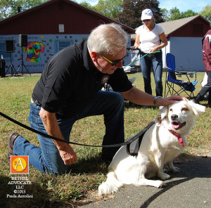 BA38_0186knickerbockerpetsdog