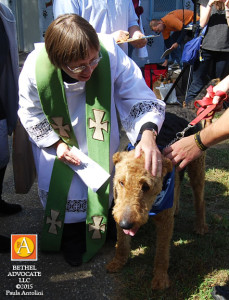 BA42_0209blessinganimals