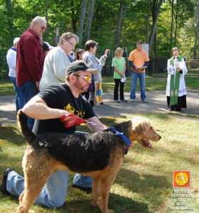 BA72_0201blessingofanimals2