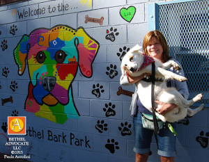 BA7_0025dogwallandgirlscoutleaderdog