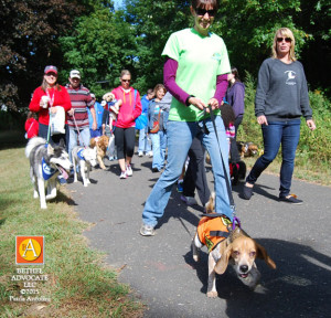 BA88_0179dogalkersbackpathadopteedog