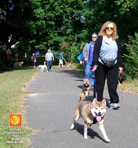 BA89_0163dogwalkersbackpath