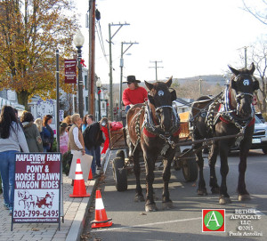 BA2_0697horseandcarriagegiftcottageowner2