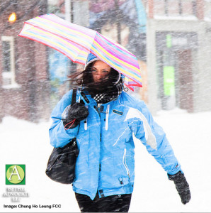 windydaywomanumbrellasnow