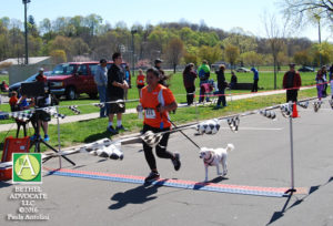 BA54_0216runnercrossfinishdog