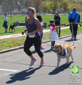 BA57_0225runnerdog