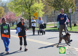 BA77_0149runnersdogcarriage