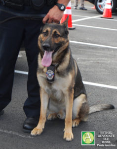 BA54_0311policeK9Bishop