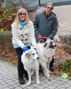 ba44_0790twowhitedogscouple