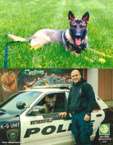 k9thorcomposite