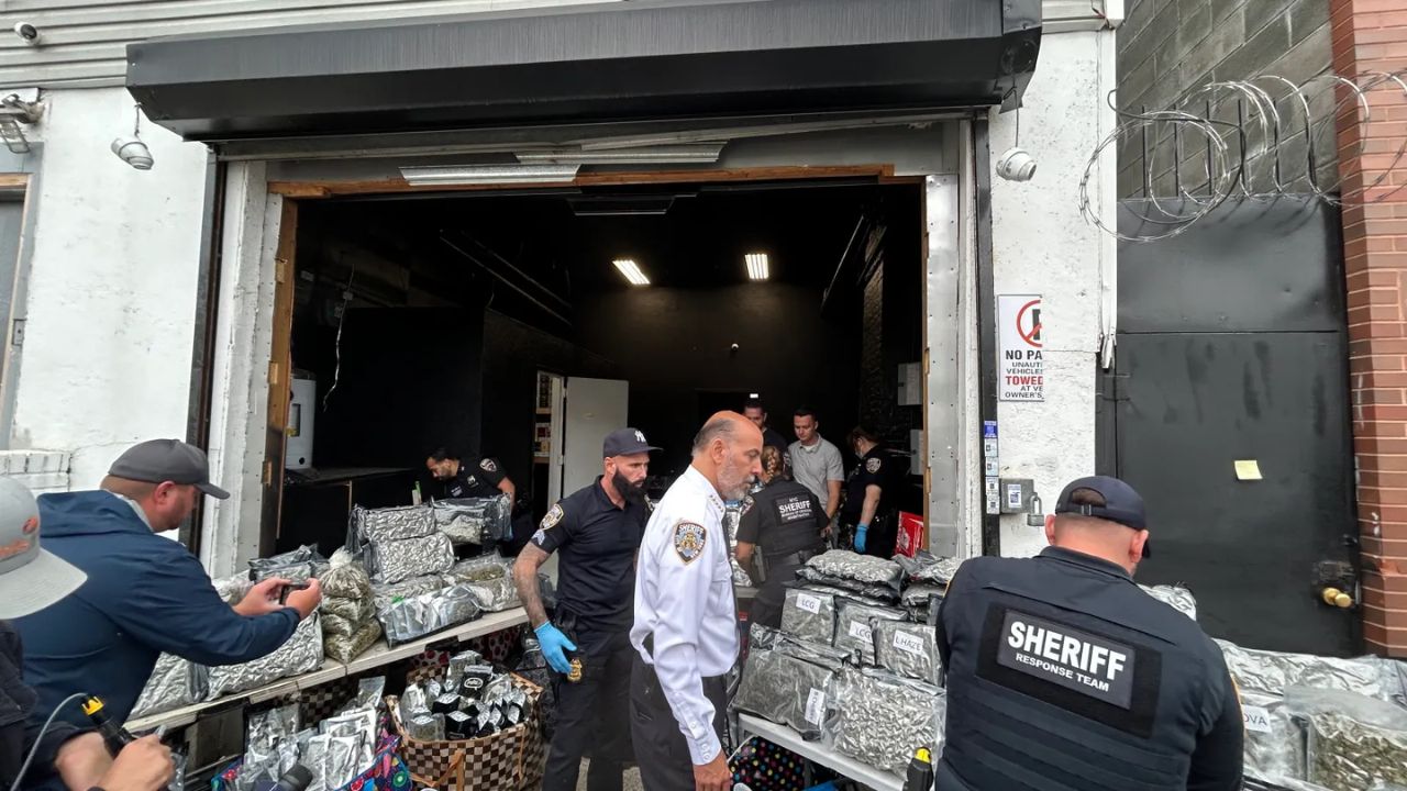 $5 Million in Unlicensed Marijuana Seized in Bronx, 11 Suspects Charged