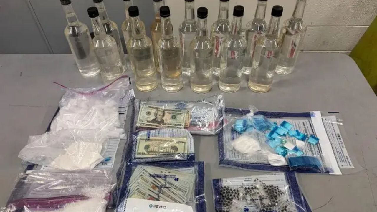 $750K in Meth, Mushrooms, and Marijuana Seized in Multi-Agency Drug Bust in Roswell