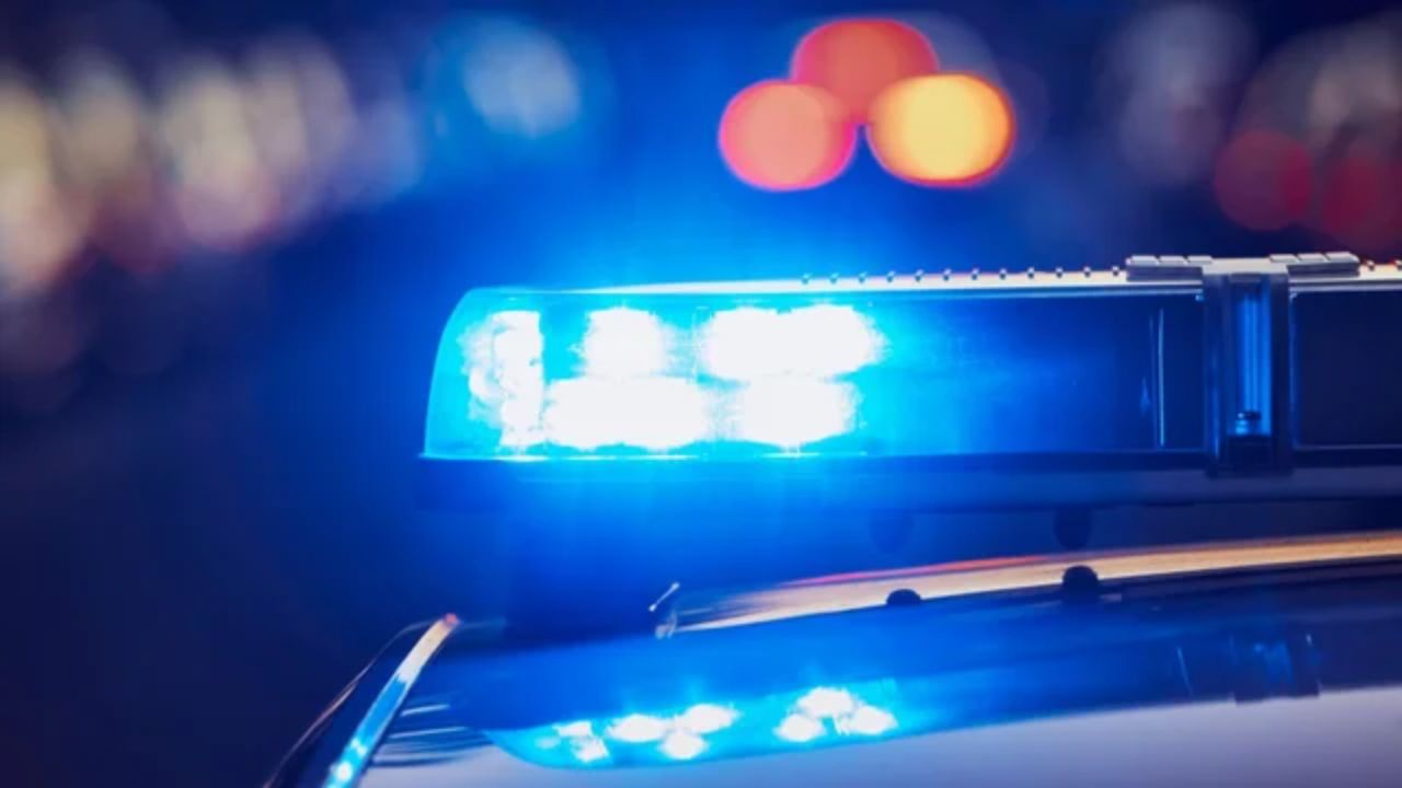 84-year-old Elba Woman Fired Seven Rounds at Neighbor; Faces Attempted Murder Charges