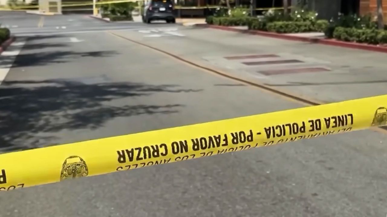 California Mother Stabbed After Alleged Toddler Snatching Attempt Outside Mall
