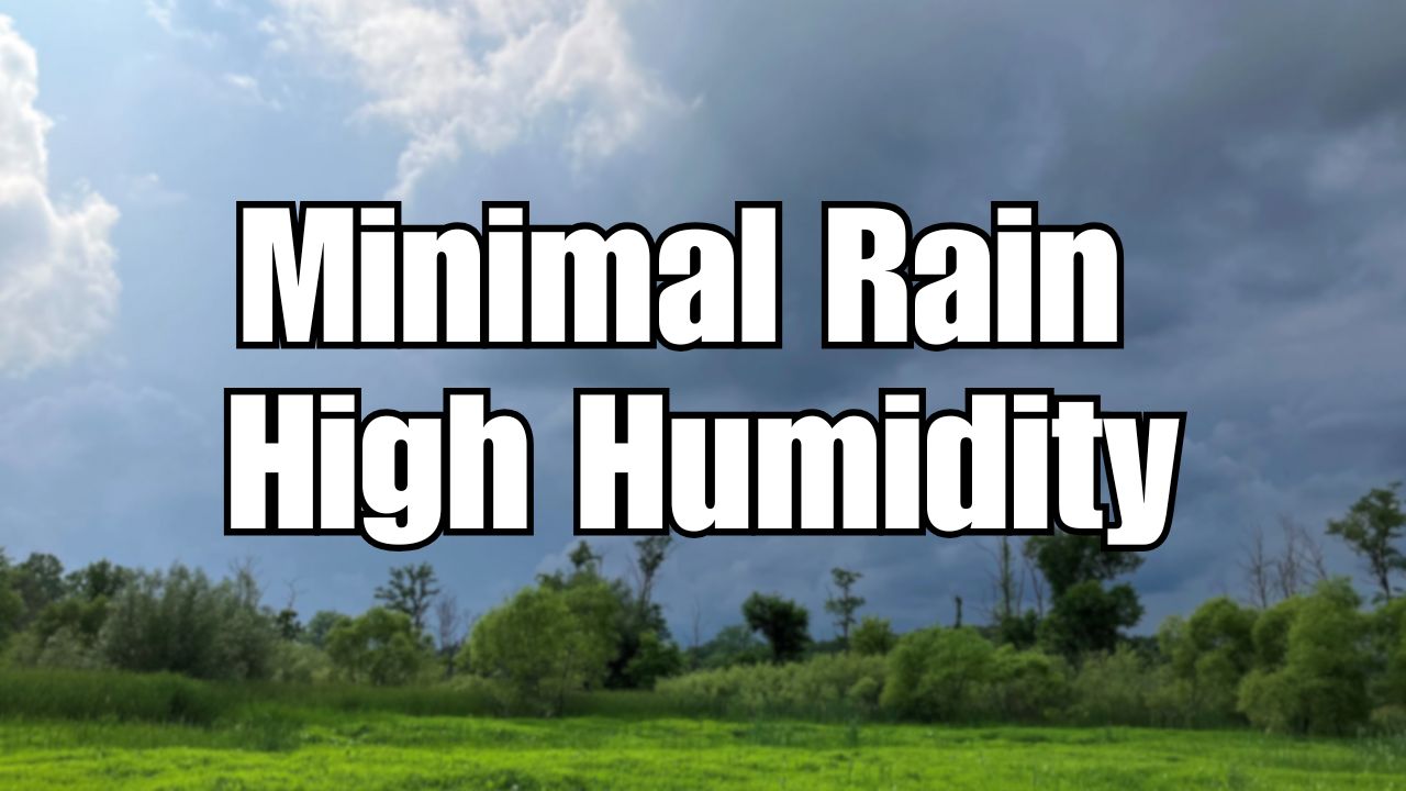 Cleveland to Experience Minimal Rain Ahead as Humidity Gradually Builds