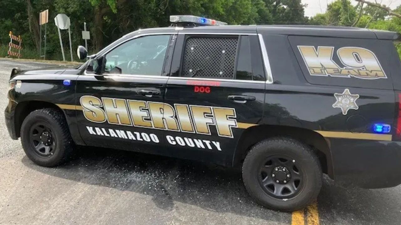 Driver and Passenger Dead after Car Hits Pole and Catches Fire in Oshtemo (1)