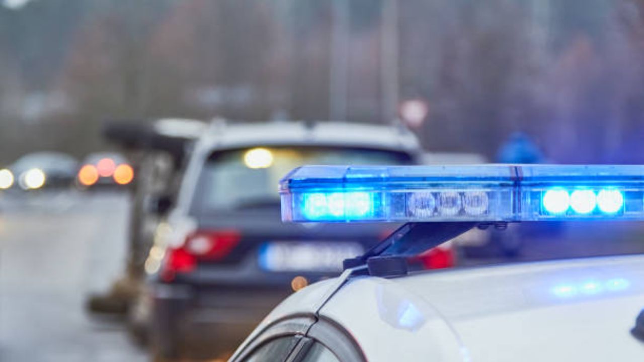 Five Teens face Charges after Crashing Stolen Car and Attacking Police Dogs in Lee County