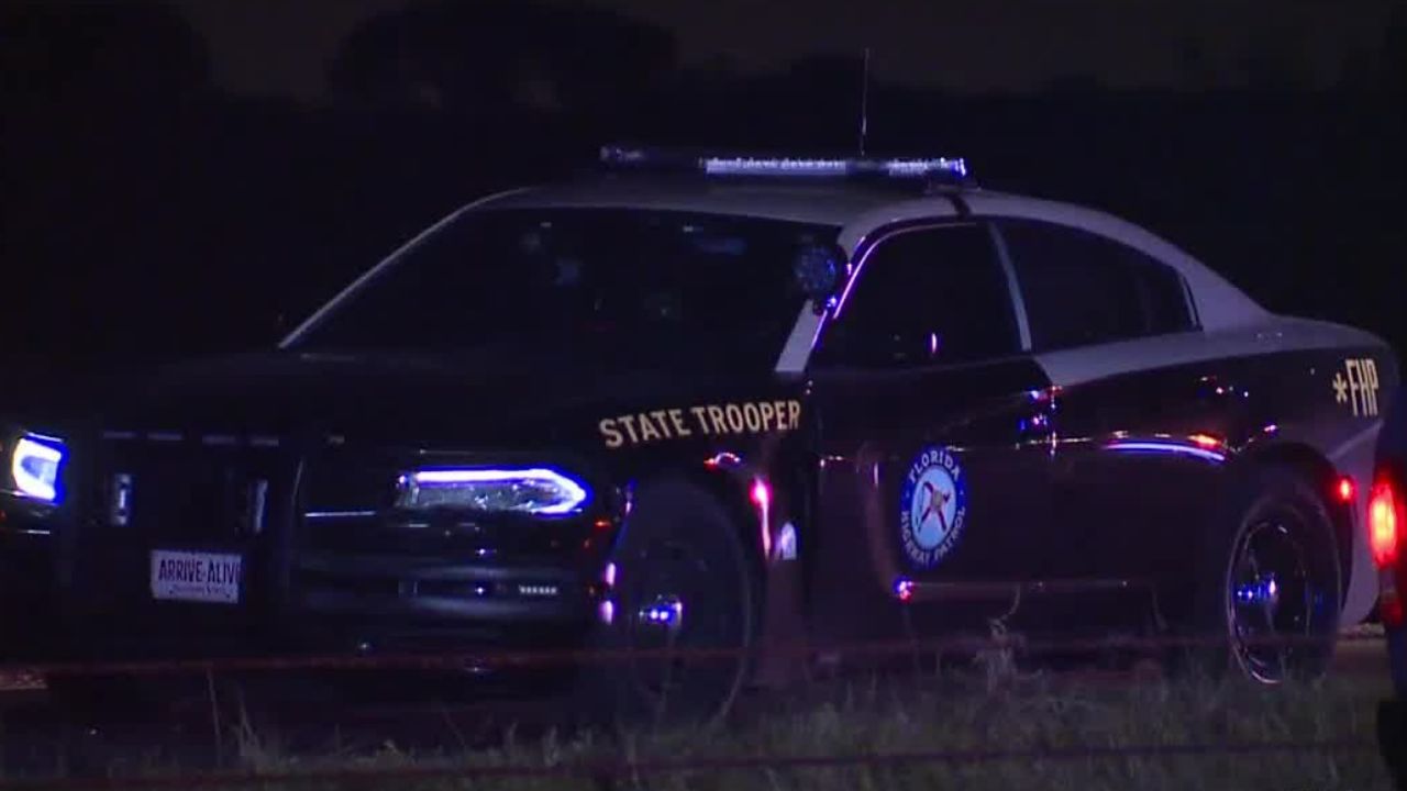 Florida Woman Killed while Checking on Injured Opossum in Hernando County