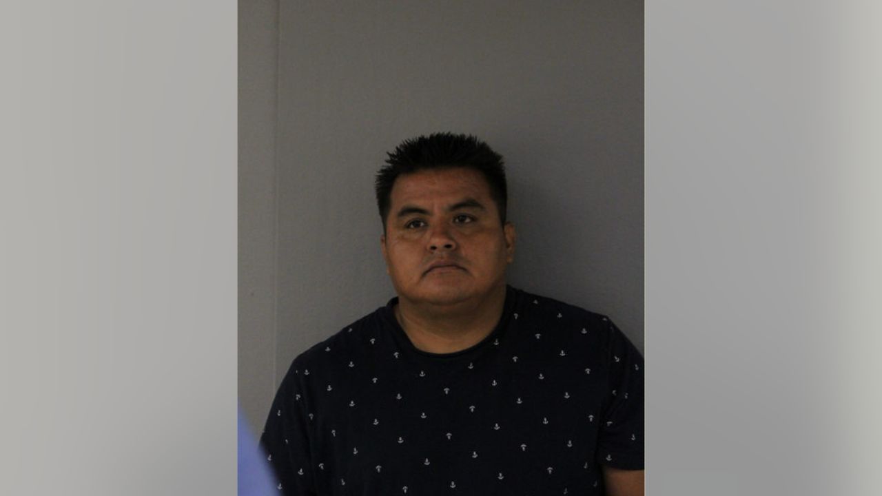 Ford Heights Man Charged After Yorkie Dragged Behind Pickup Truck, Sheriff Says