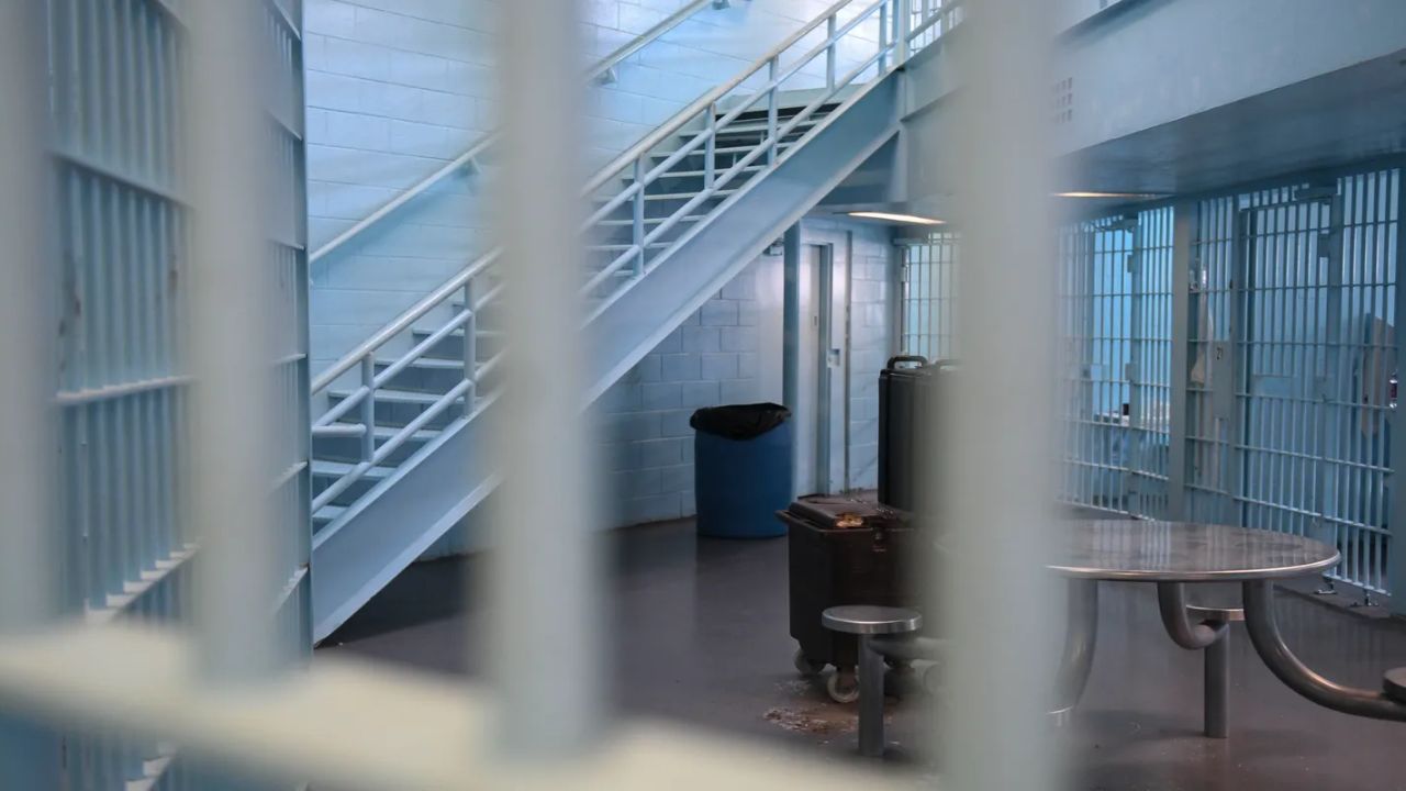 Georgia Man Faces Multiple Felony Charges After High-Speed Police Chase from Athens to Madison County