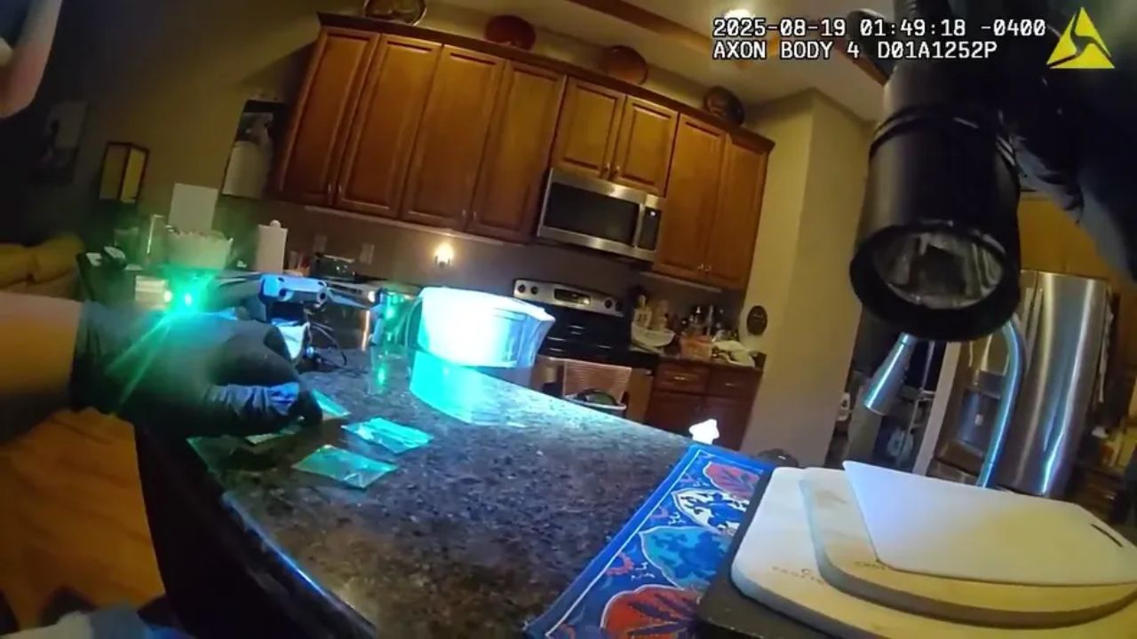 Hillsborough County Deputies Arrest Felon after Drone Delivering Drugs Crashes into Wrong Backyard