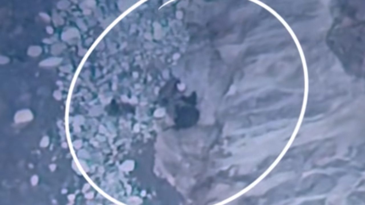 Missing Hiker Found Safe After Days Without Food or Water in Tahoe National Forest