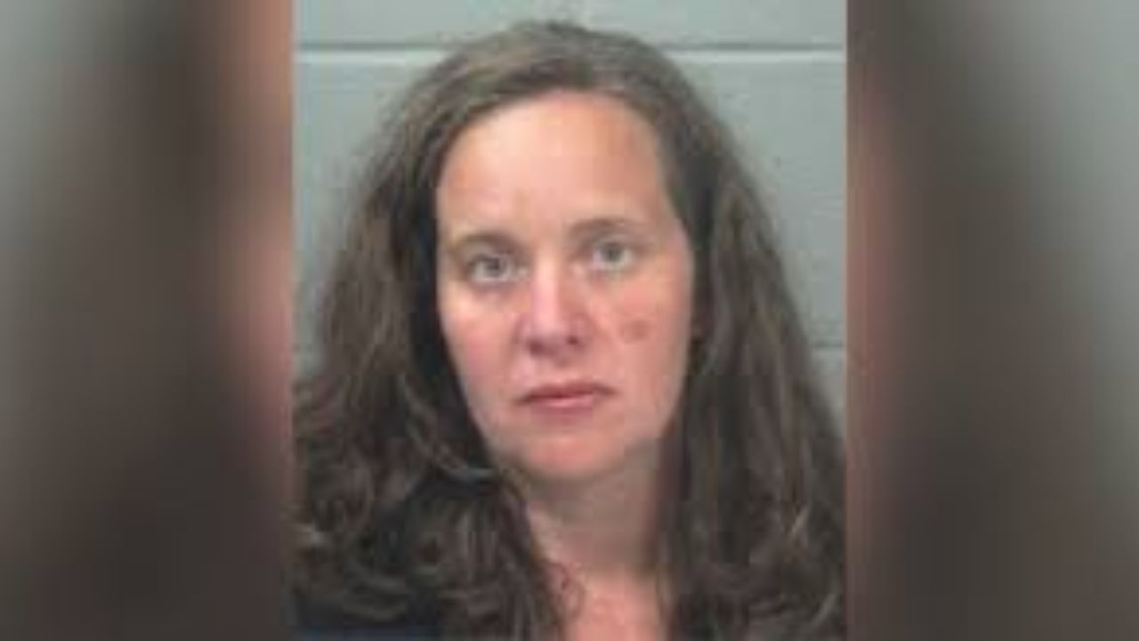 Pennsylvania Mother Charged After Toddler and Family Dog Die in Hot Car in Maine