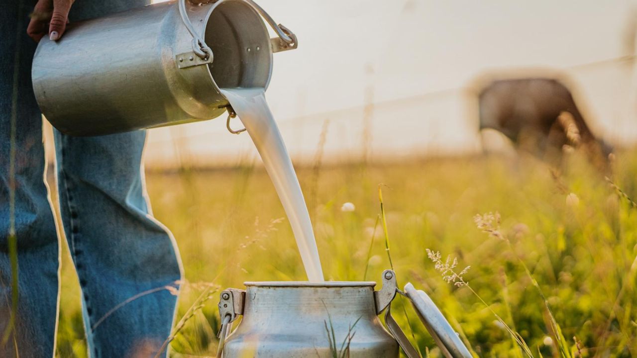 Raw Milk From Florida Farm Linked to Food Poisoning Outbreak That Hospitalized 7, Health Officials Say