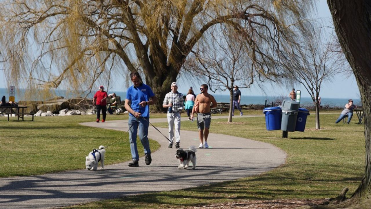 Sunny Skies and Comfortable Warmth Ahead for Staten Island this Weekend