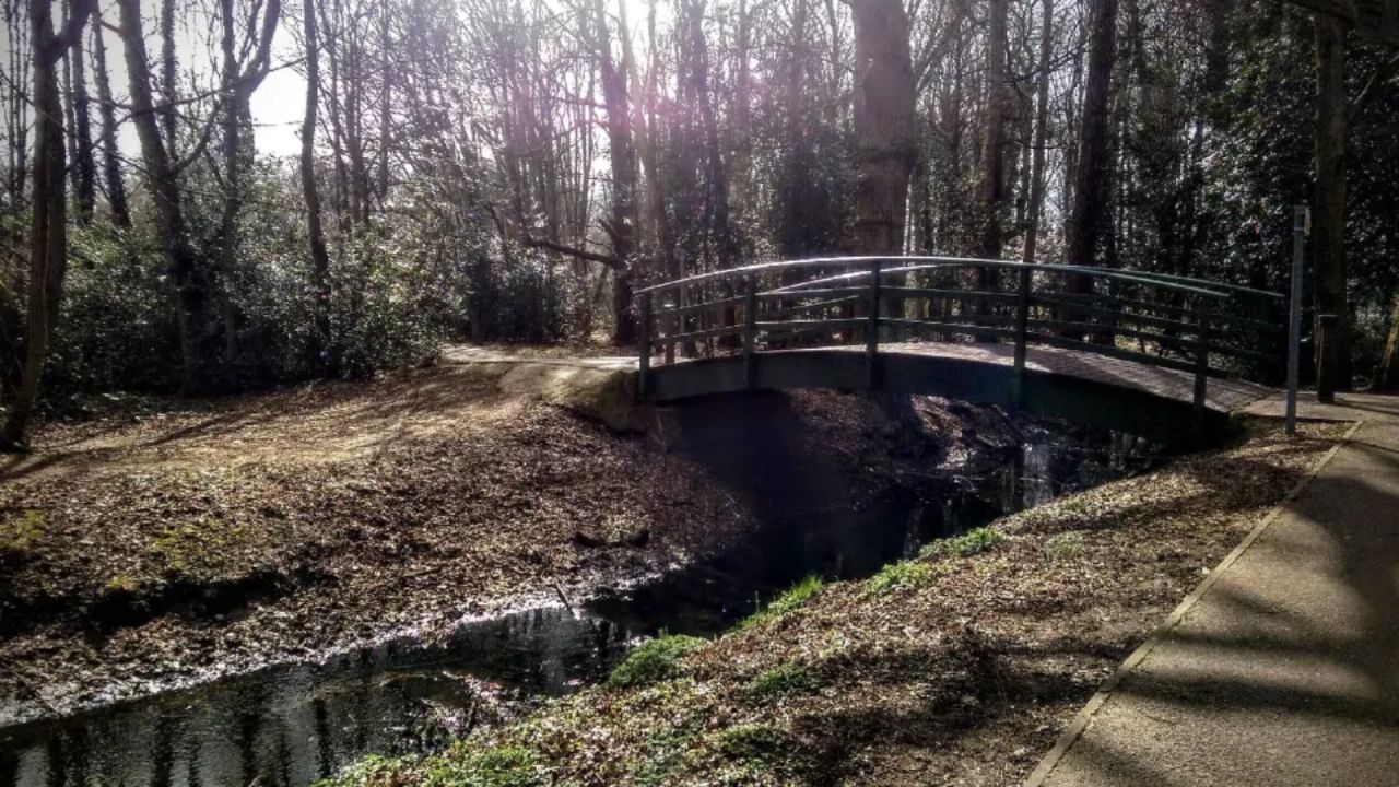 Teen Arrested After Baby Found Injured in Lincoln Park Released on Bail