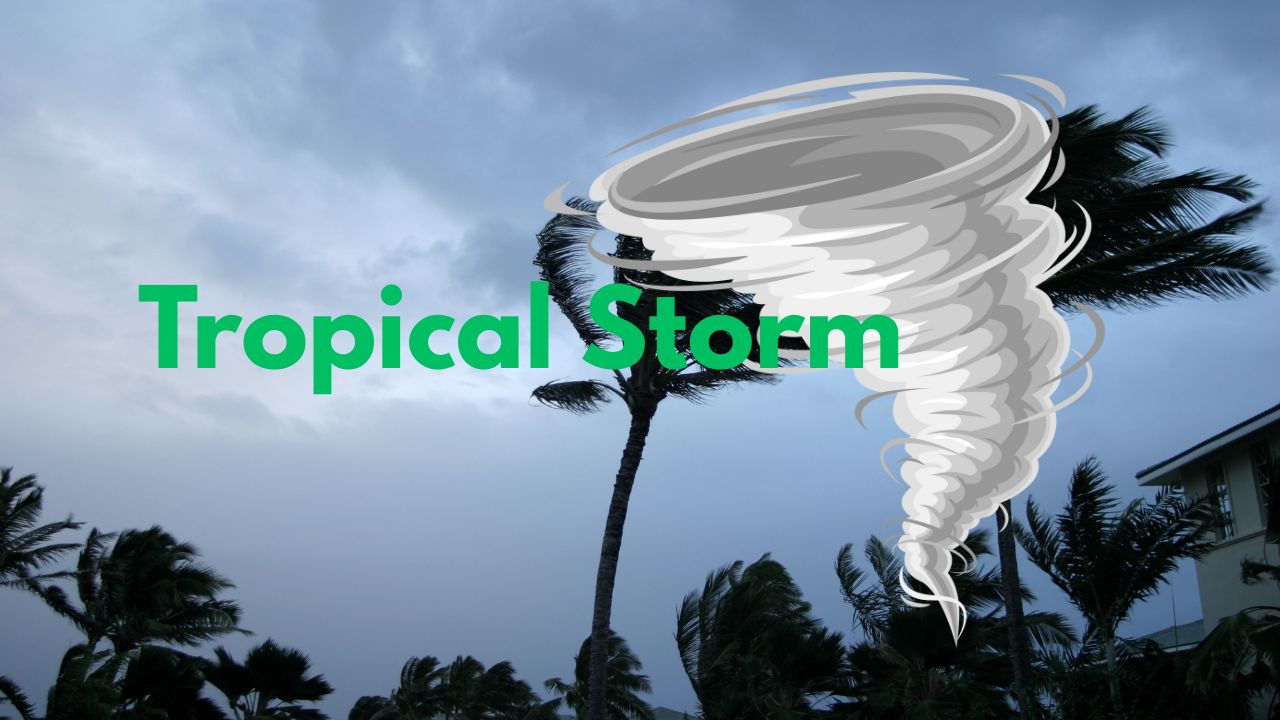 Tropical Storm Dexter Moves Away from U.S.; Two More Atlantic Systems Could Develop This Week