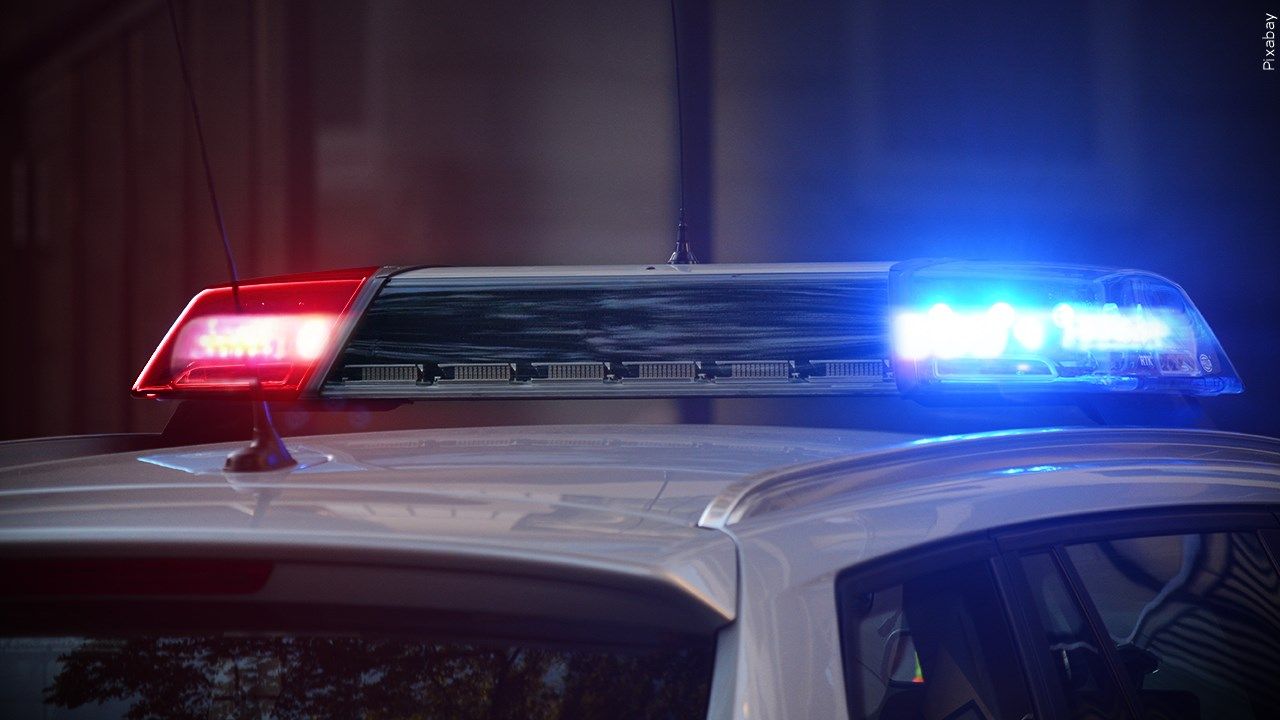 Two Killed, Dog Dies in Fiery High-Speed Crash on US 131 in Mecosta County