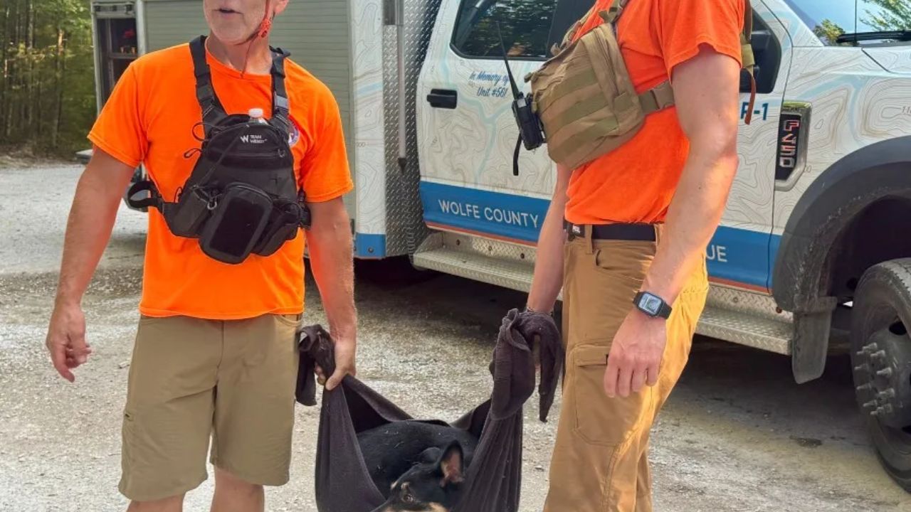 Wolfe County Rescue Team Saves Hikers and Dog Stricken by Heat Exhaustion