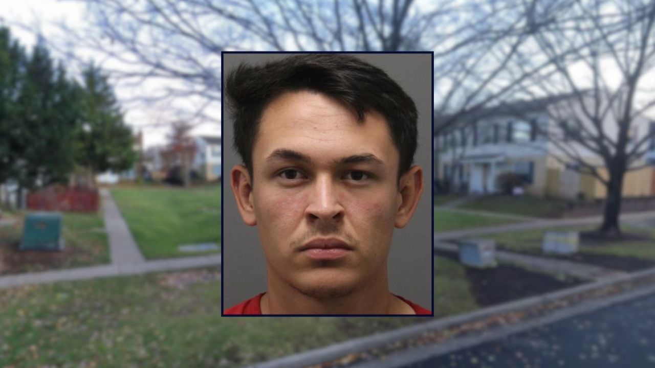 21-year-old Faces Charges after Allegedly Strangling Infant Sister in Leesburg; Baby in Critical Condition
