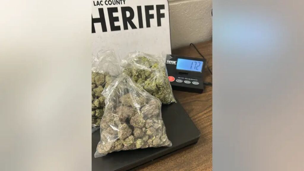 Authorities Target High-Traffic Drug Areas in Fond du Lac, Seizing Cocaine, Meth, MDMA; Several in Custody (1)