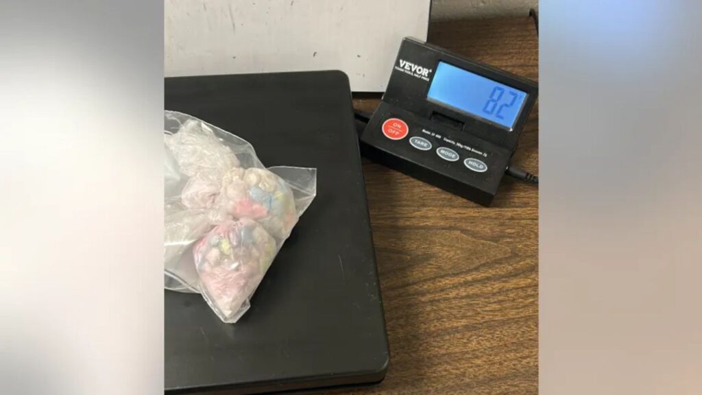 Authorities Target High-Traffic Drug Areas in Fond du Lac, Seizing Cocaine, Meth, MDMA; Several in Custody (2)