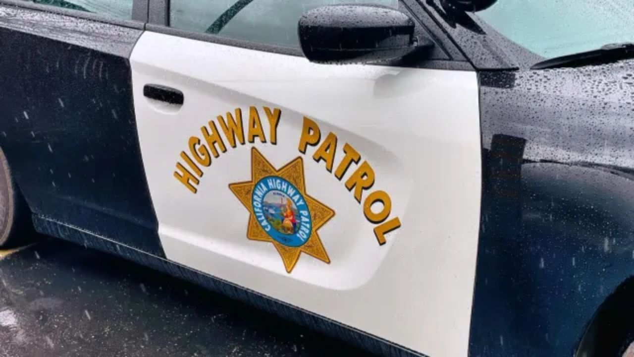 CHP Mustang Crash Near Pala Casino Topples Tree, Leaves Driver Dead