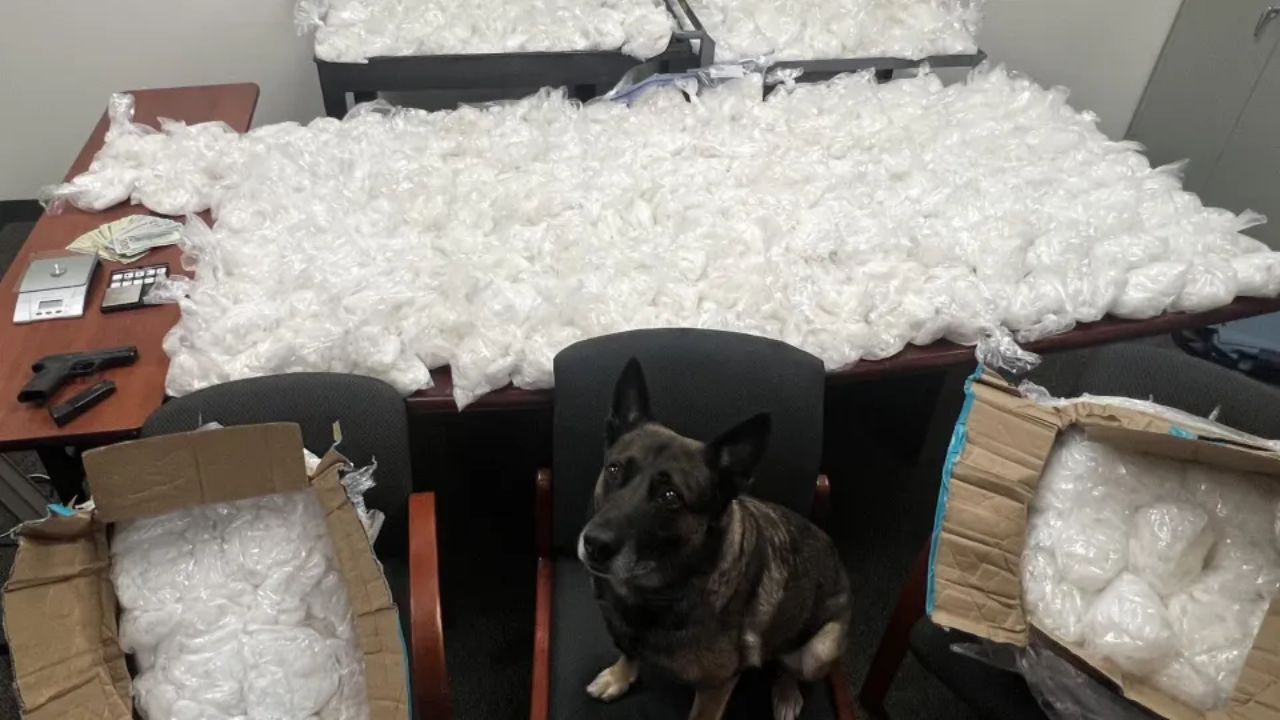 Detectives Seize 500 Pounds of Meth in San Jose, Marking One of NorCal’s Biggest Busts in Years