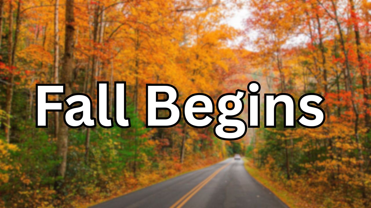 Fall Officially Begins Today; Isolated Showers and Storms Expected in Mid-South