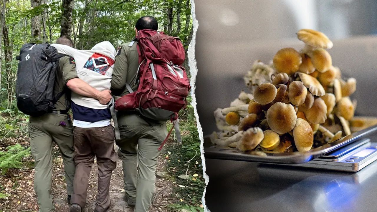 Hikers were High on Psychedelic Mushrooms when Lost in New York Mountains; Rescued by Rangers