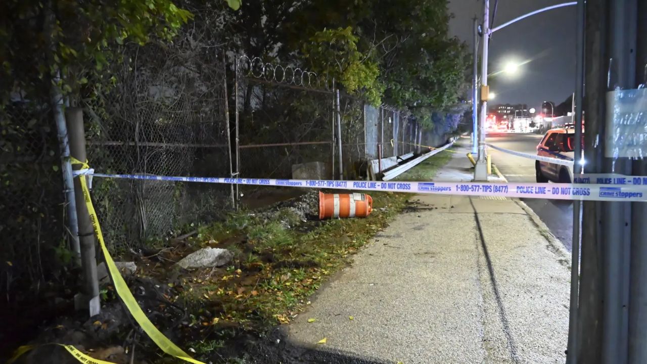 Human Skull, Bones Recovered near Strip Mall in Queens; NYPD Investigating