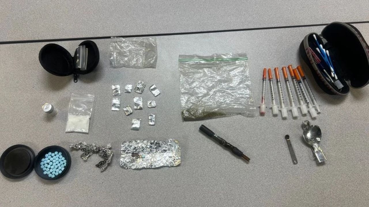 K-9 Dak Helps Emery County Deputies Bust Drugs Near Huntington Reservoir; Fake Fentanyl Pills Seized