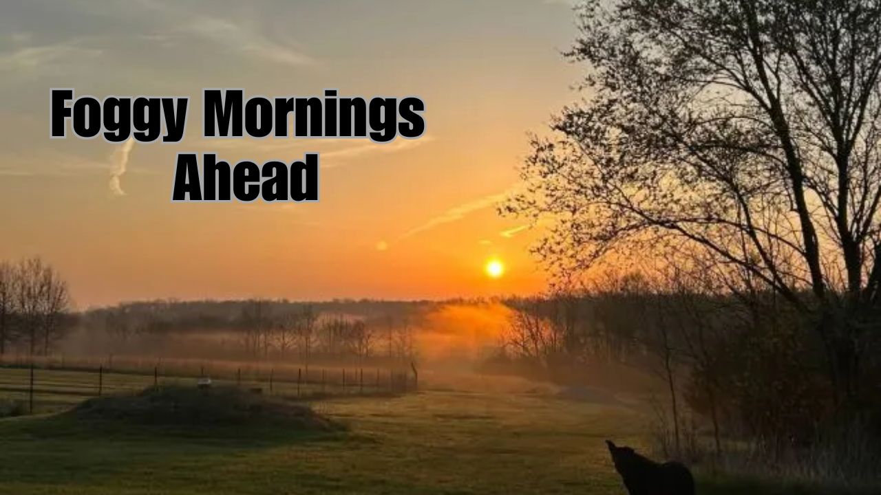 Kansas City Weather Foggy Friday Morning, Sunny and Warm Afternoon Ahead