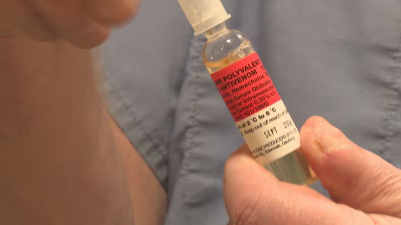 Kentucky EMS Team Faces Scrutiny Over Administering Antivenom to Mamba Snakebite Victim