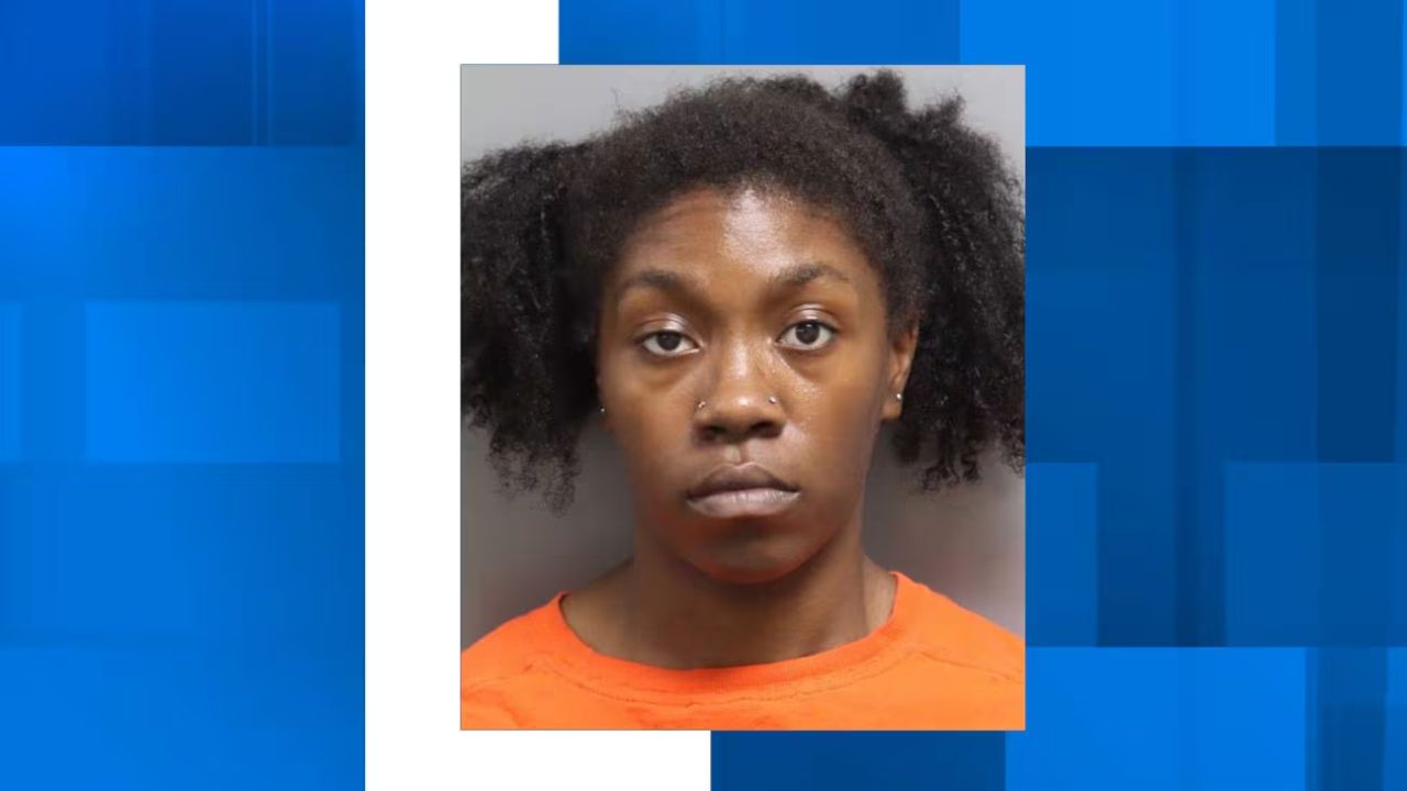 Ladson Resident Tried to Hit People with Her Car; Arrested and Slapped with Charges